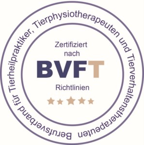 Logo_BVFT_DL